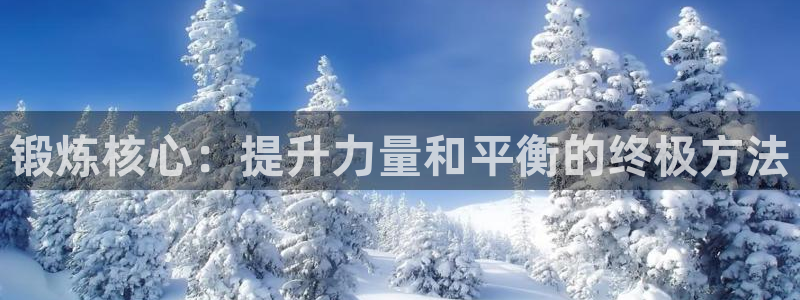 征途国际招商电话号码查询是多少:锻炼核心:提升力量和平衡的终