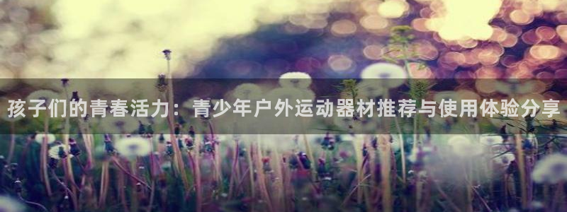 征途国际平台是正规平台吗:孩子们的青春活力:青少年户外运动器