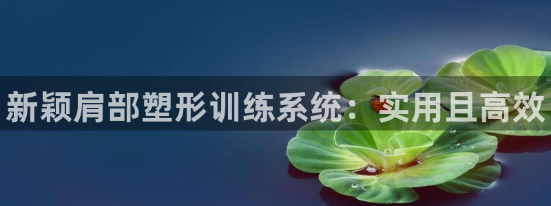 征途国际招商电话地址查询:新颖肩部塑形训练系统:实用且高效